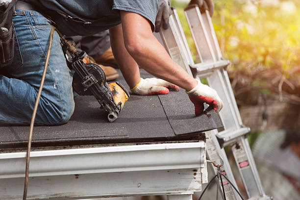Best Roof Maintenance Services  in Elroy, NC